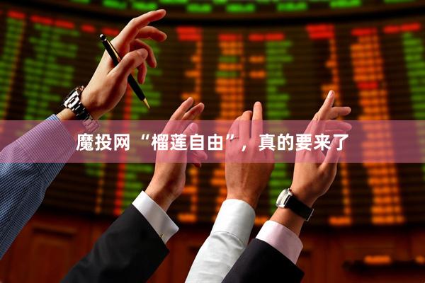 魔投网 “榴莲自由”，真的要来了