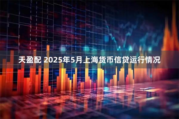 天盈配 2025年5月上海货币信贷运行情况