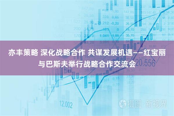 亦丰策略 深化战略合作 共谋发展机遇——红宝丽与巴斯夫举行战略合作交流会