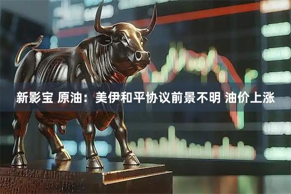 新影宝 原油：美伊和平协议前景不明 油价上涨