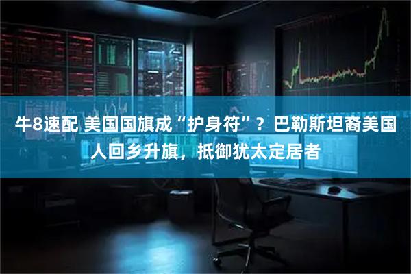 牛8速配 美国国旗成“护身符”？巴勒斯坦裔美国人回乡升旗，抵御犹太定居者