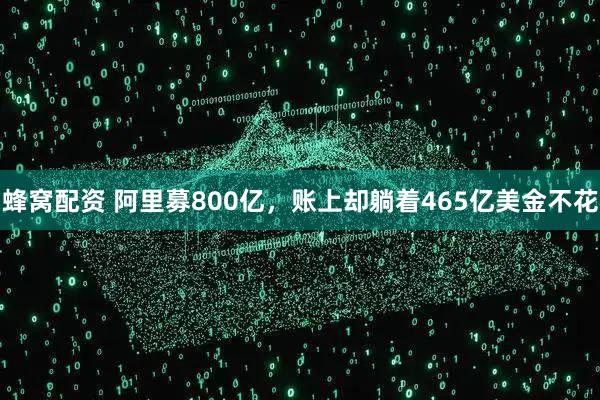 蜂窝配资 阿里募800亿，账上却躺着465亿美金不花